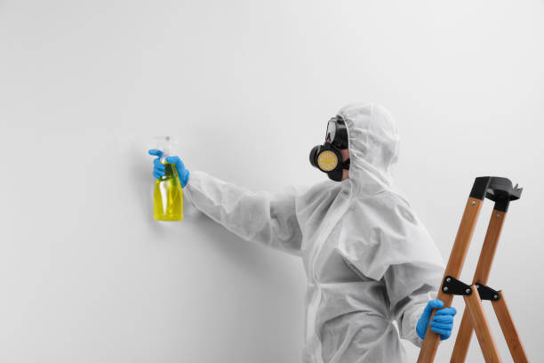 Professional Mold Removal in Drain, OR